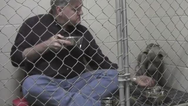 Georgia veterinarian eats with healing pup