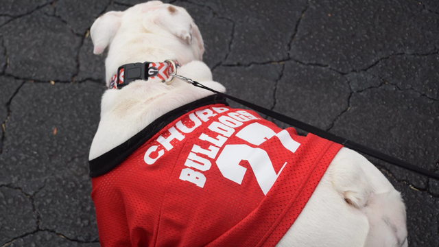 UGA grad pleads for safe return of beloved bulldog