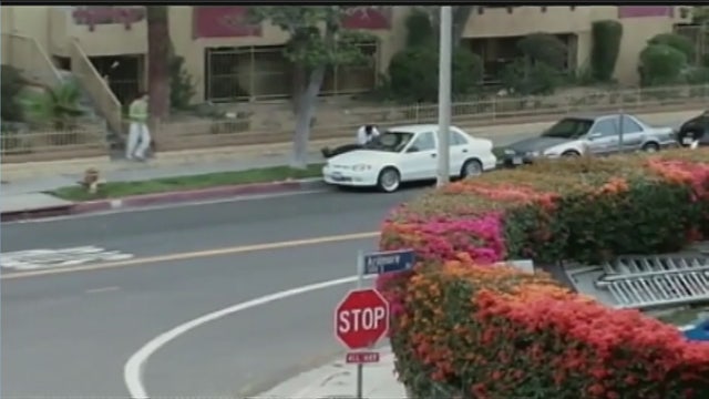 Police search for suspect in road rage fight