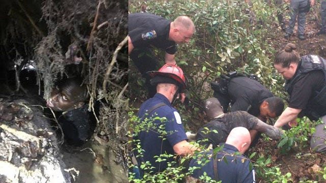 Police rescue suspect stuck in creek
