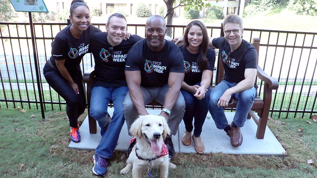 Max's Backyard: FOX 5 employees build park for CHOA service dogs