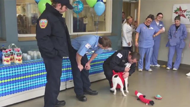 Puppy rescued from burning home thanks firefighters