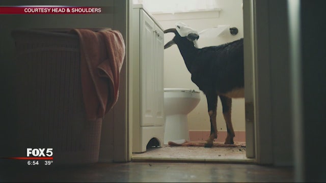 Atlanta 'goat' business given Super Bowl ad