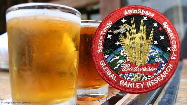 Budweiser prepares to sell beer on Mars