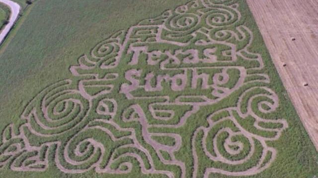 'Texas Strong' cornfield maze honors Harvey victims