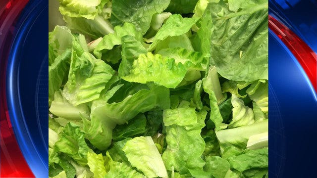 Romaine lettuce outbreak tied to contaminated canal water