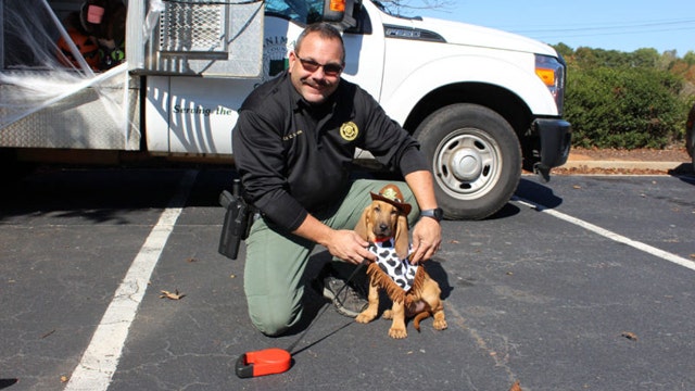 Douglas County Sheriff's Office welcomes new K-9