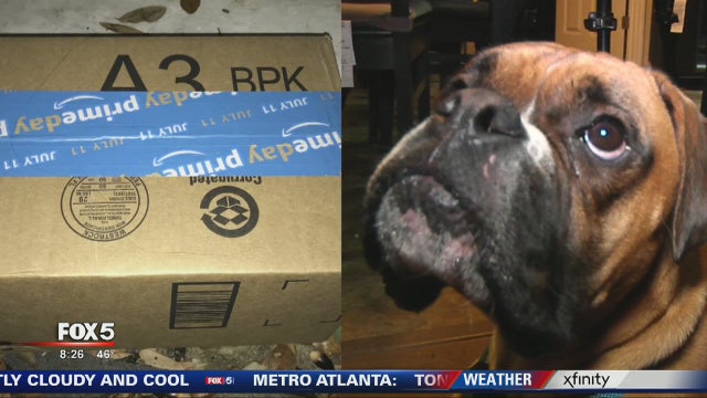 Porch pirates pranked with dog poo package