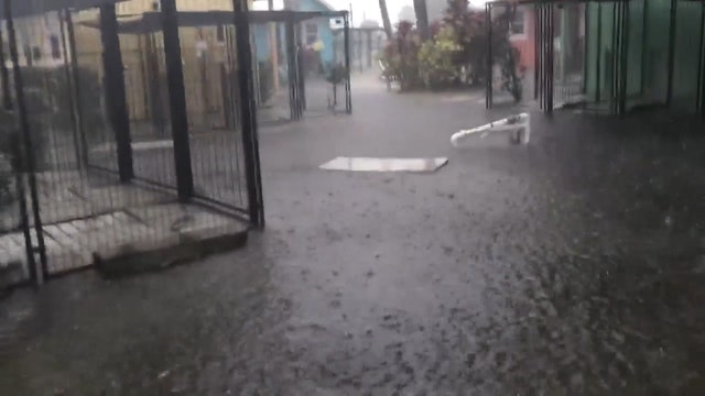 Flooded Bradenton animal shelter needs fosters, forever homes