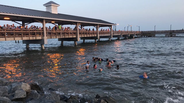 Team rescues whales stranded on Georgia beach