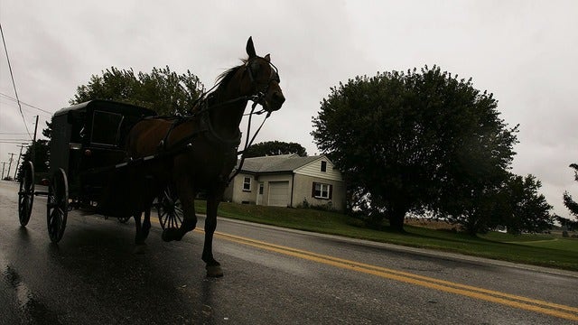 Pickup hits Amish horse-drawn carriage, killing 2 kids
