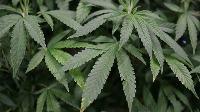 Medical marijuana bill passes Georgia House, heads to Senate