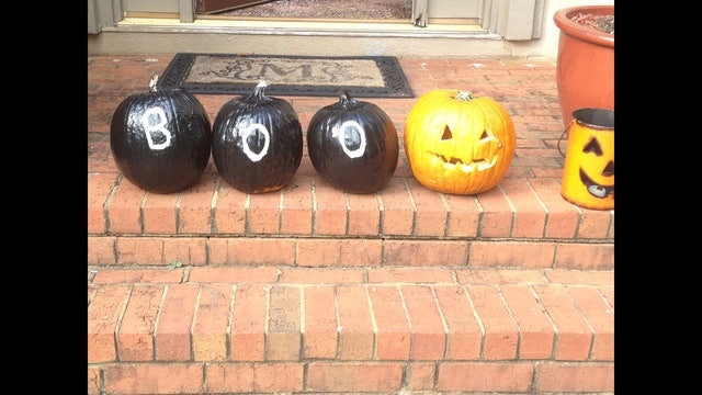 Awesome Pumpkin Patches Around Atlanta