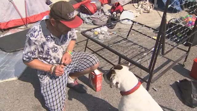 California's new budget includes $5 million to support veterinary care for homeless people's pets