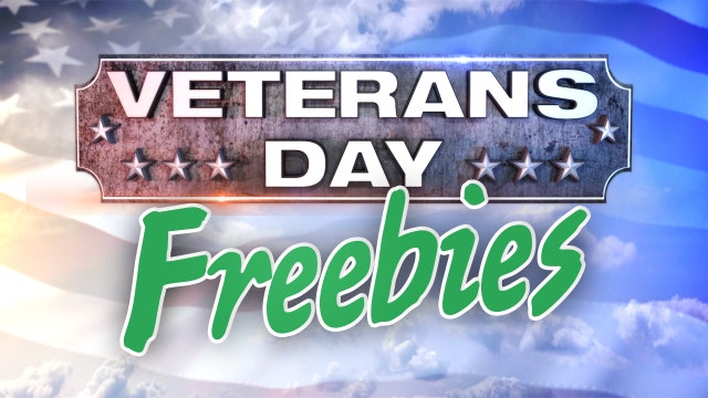 Veterans Day 2016: Discounts and Freebies