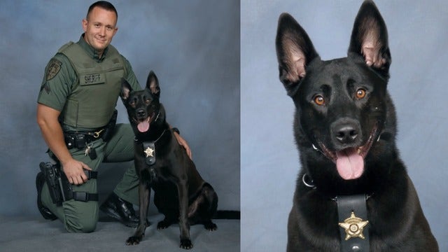 Paulding County Sheriff's Office mourning loss of beloved K-9