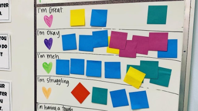 Texas teacher goes viral for mental health check in board