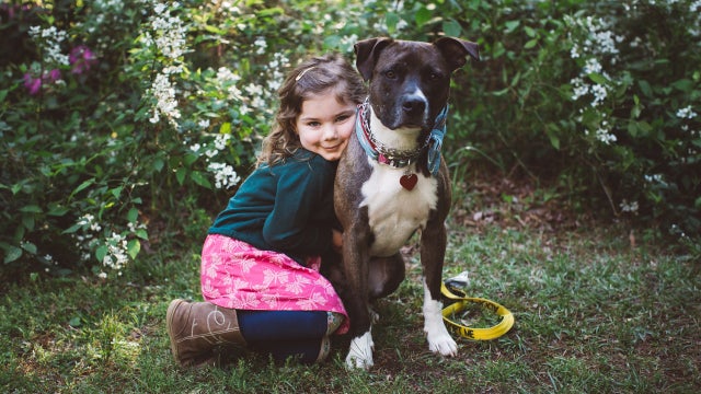 ‘Paws in PJs' party, free pet adoptions until Sunday