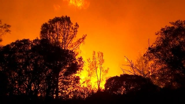 #CampFire: Actor James Woods uses Twitter celebrity to reunite people in Paradise, Calif.