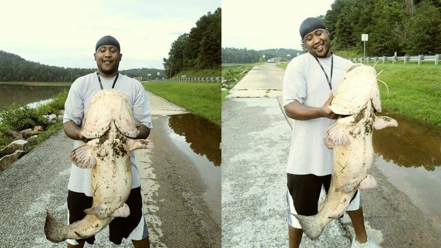 Man catches massive catfish in Toccoa