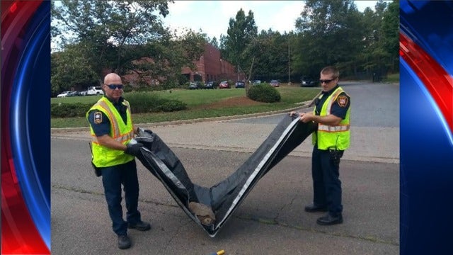 Marietta firefighters rescue a turtle