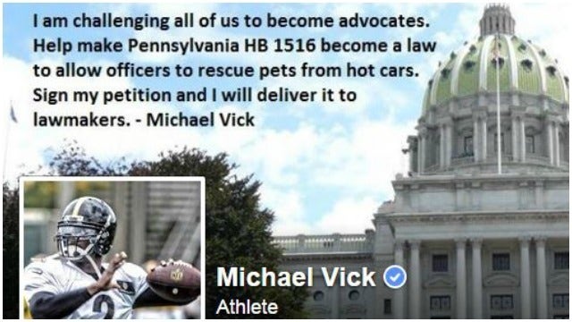 Michael Vick Fights for Law to Protect Pets in Hot Cars