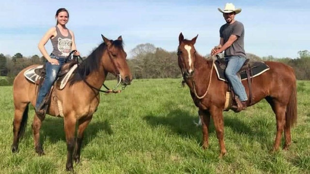 Sheriff: Horses go missing in Walton County