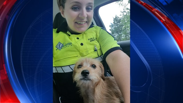 Marietta police searching for owner of lost dog
