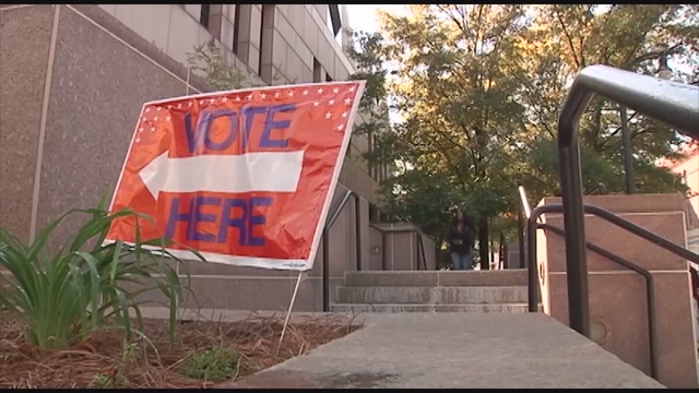 Judge permits Georgia voter roll purges, plans 2nd hearing
