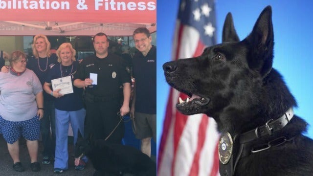 Hero K-9 Tryko, passes away