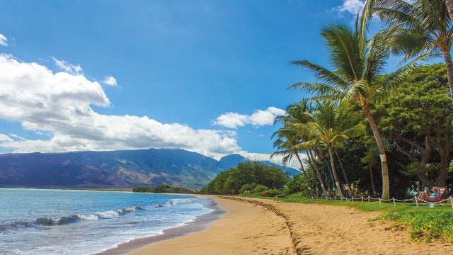Arby's offering $6 vacation to Hawaii