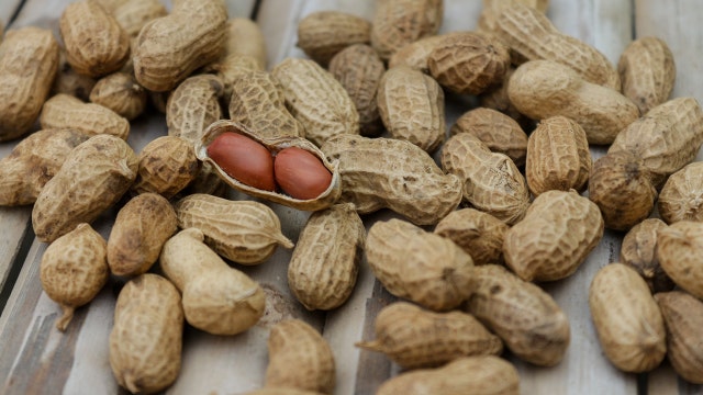 New drug may help children with peanut allergies