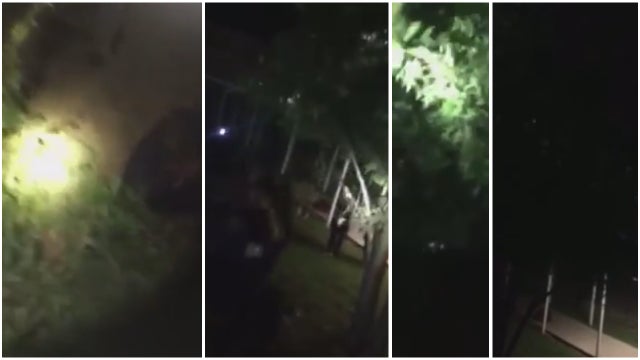 Deputy catches woman falling from tree