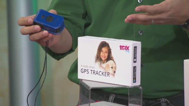 GPS Trackers And Bluetooth Leashes: Halloween Family Safety Tech