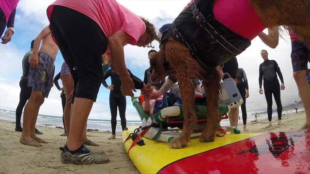 Sick kids get the chance to surf with a dog