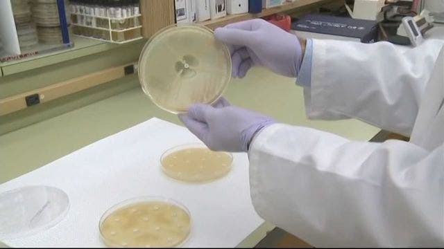 FDA OKs 1st drug to treat smallpox, in case of terror attack