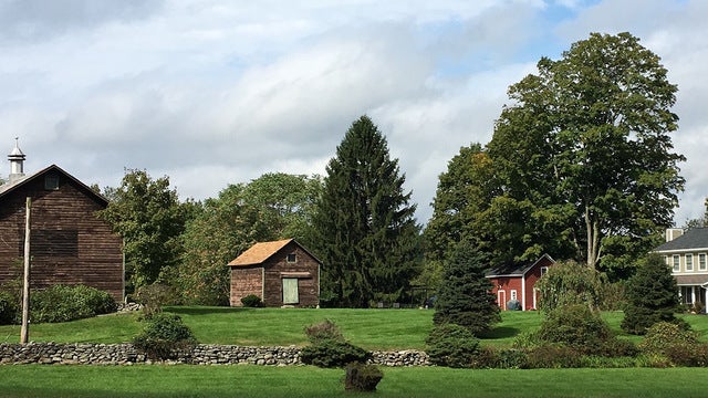 Rockefeller Center Christmas tree comes from New York