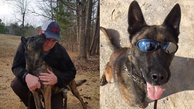Troup County K-9 officer dies after illness