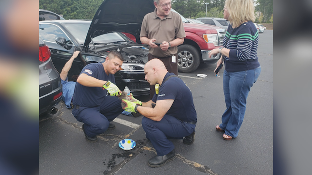 Firefighters save cat from the underside of a car