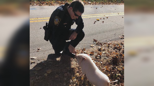 Lawrenceville Police literally bring home the Bacon