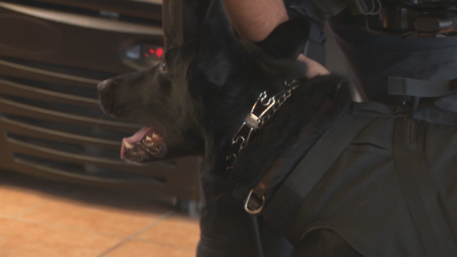 Doraville business 'The Pawstand' donates K-9 ballistic vest