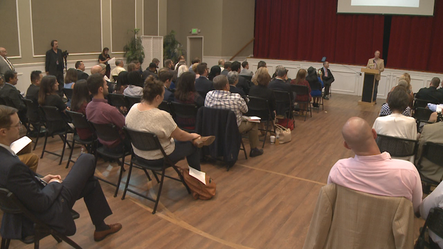 Georgia opioid task force