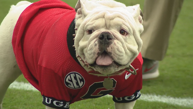 Athens ranked one of the best college football towns