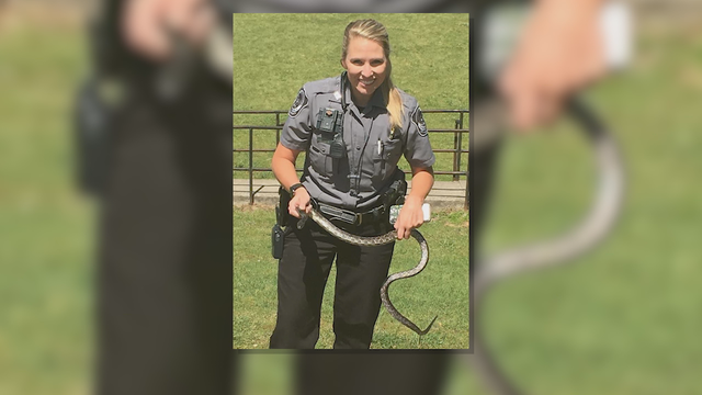 Villa Rica school resource officer wrangles snake