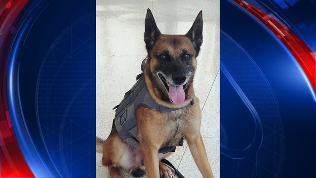 DeKalb County K-9 Deputy Viper retiring