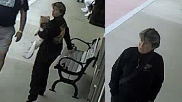 Osceola sheriff: Cameras captured woman stealing veteran's service dog