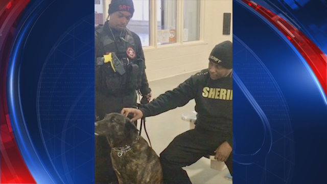 K-9 officer to be laid to rest in Clayton County