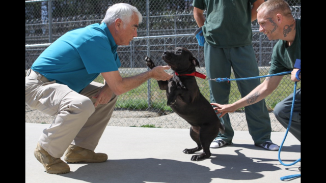 Sheriff's Office announces upcoming expansion of Operation Second Chance