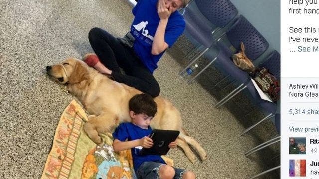 Moment autistic boy bonds with service dog touches thousands