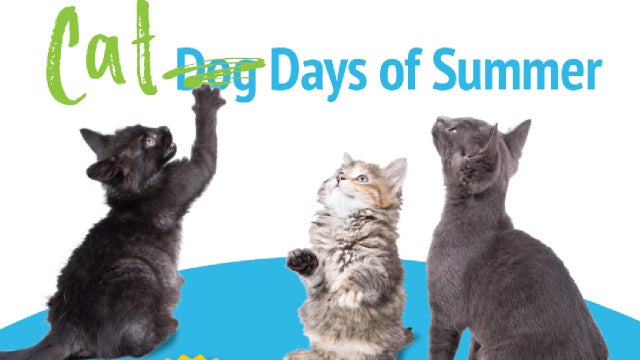 'Cat Days of Summer' free cat adoption event by LifeLine Animal Project